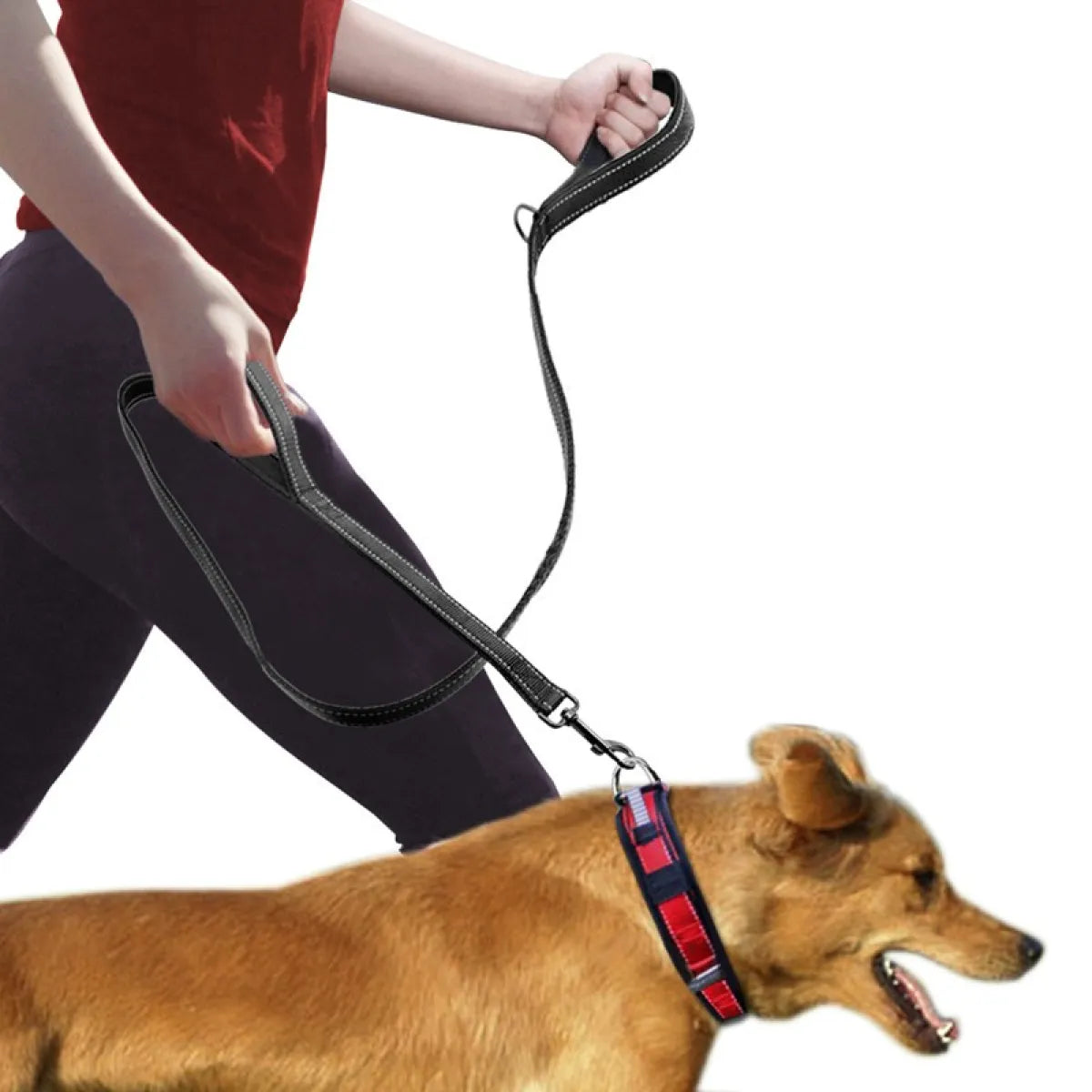 Pet Double Handle Pull Leash Ultimate control